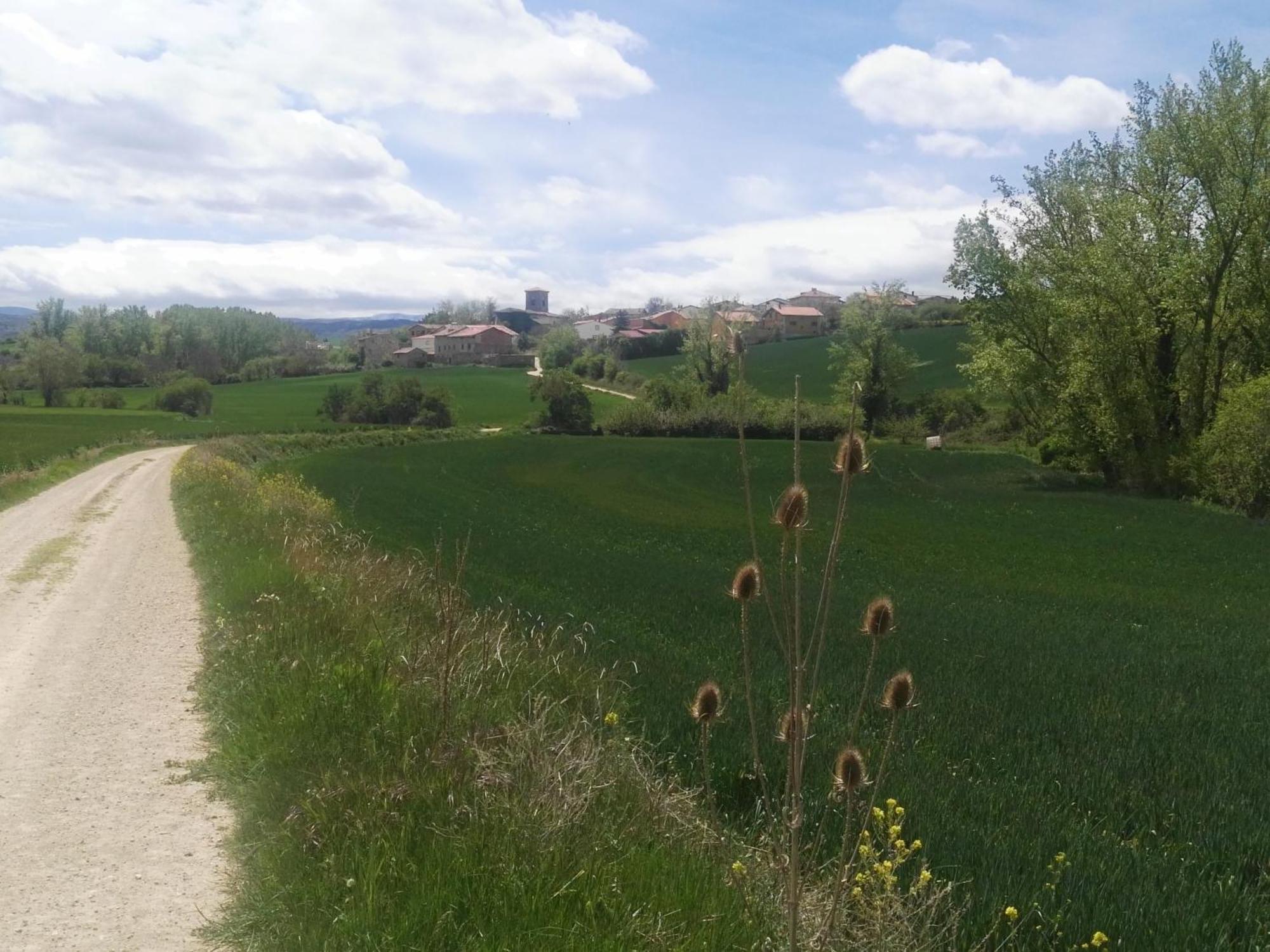 El Rincon 53 Villa Quintanilla del Monte de Rioja Luaran gambar